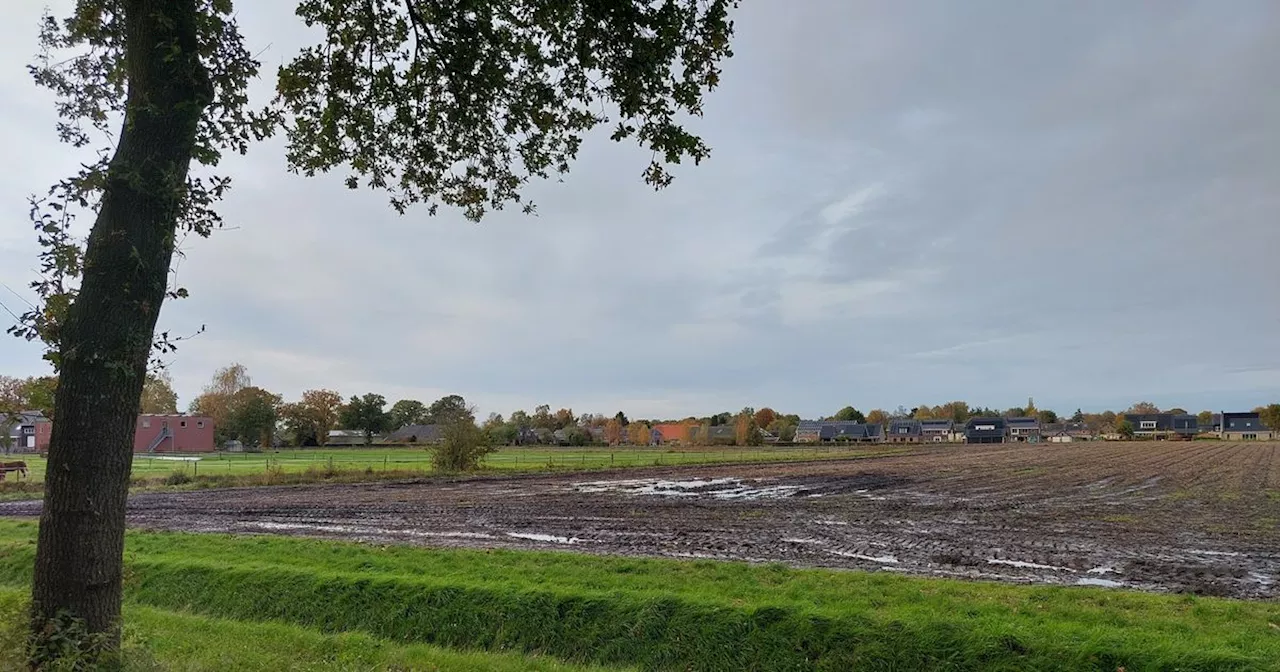 Negen nieuwe naobers mogen aan de slag met tiny houses Gasselternijveen