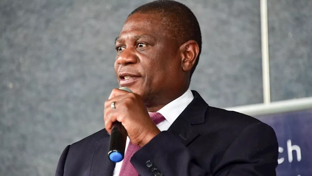 Mashatile calls for public-private sector partnership to create jobs - SABC News