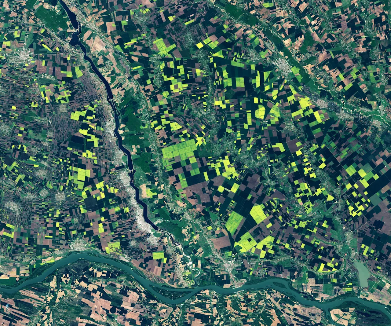 Romania’s Fields of Gold Captured From Space