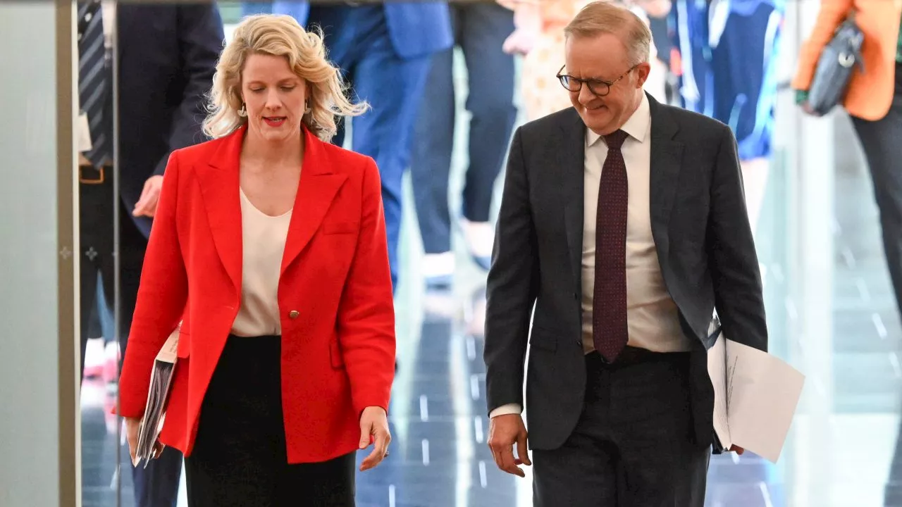 Government either ‘lied’ about opposing detainee bail or ‘utterly incompetent’