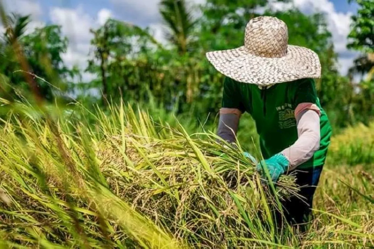 More millennials enroll in agri courses