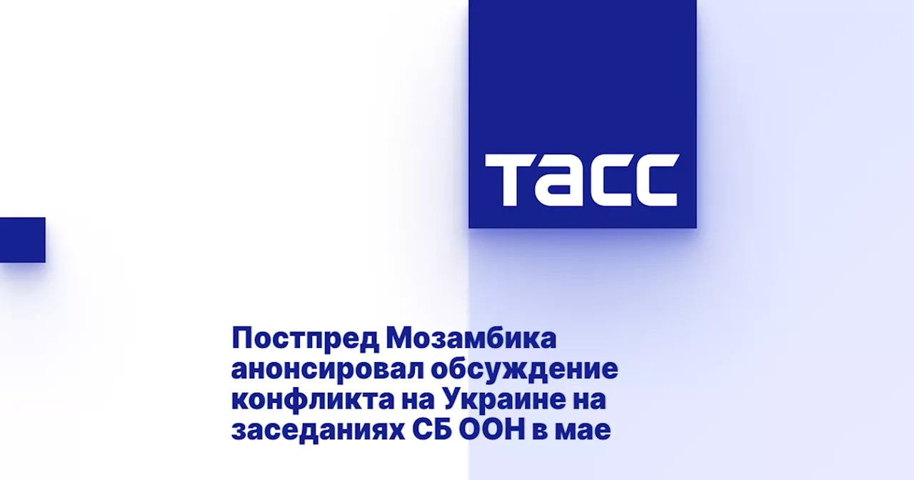 Постпред Мозамбика анонсировал обсуждение конфликта на Украине на заседаниях СБ ООН в мае