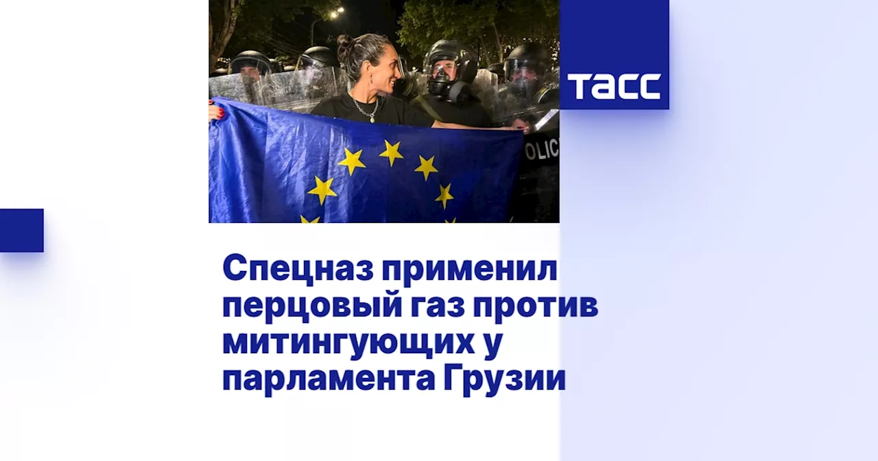 Спецназ применил перцовый газ против митингующих у парламента Грузии