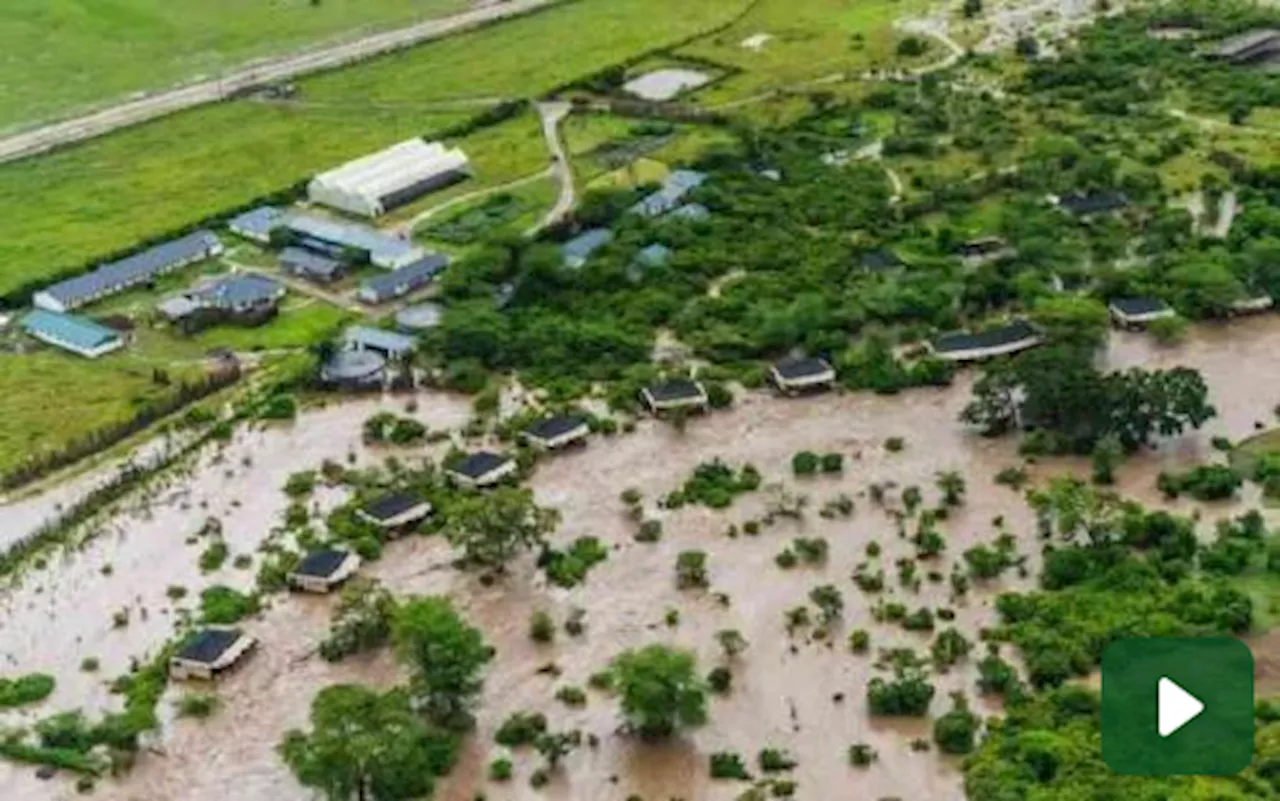 Kenya, turisti bloccati nella riserva Masai Mara sommersa da un'inondazione. Il video