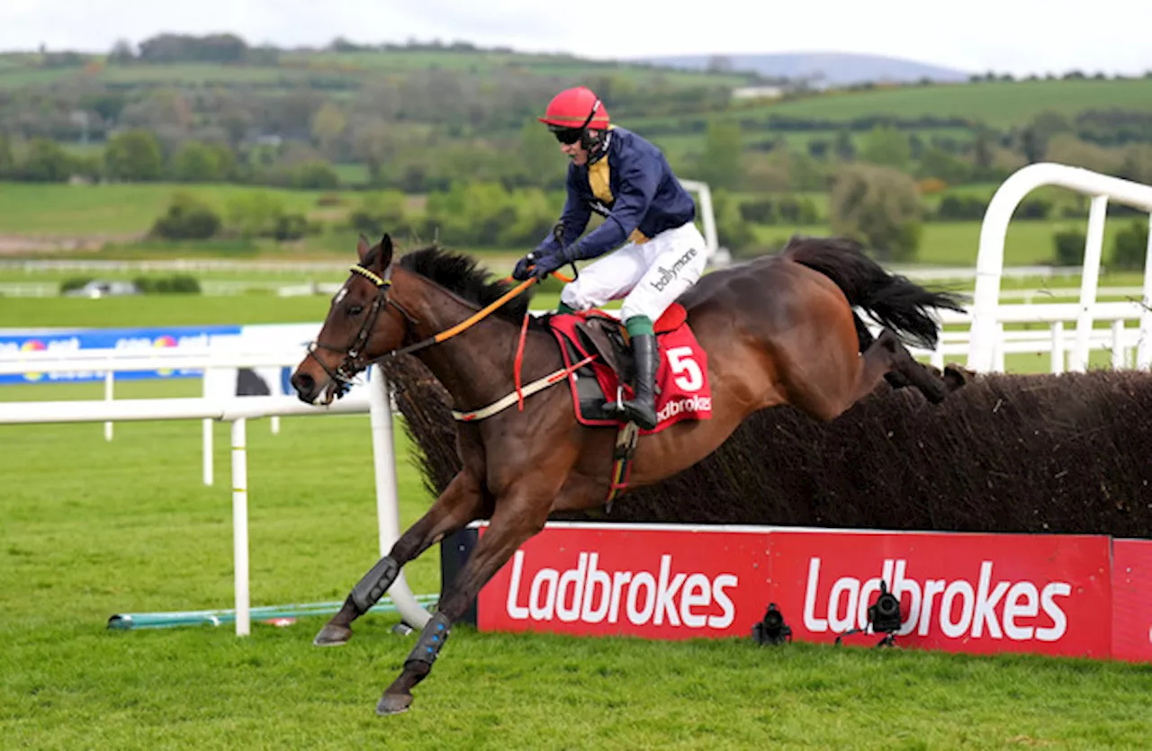 Fastorslow too strong for Galopin Des Champs in Punchestown repeat