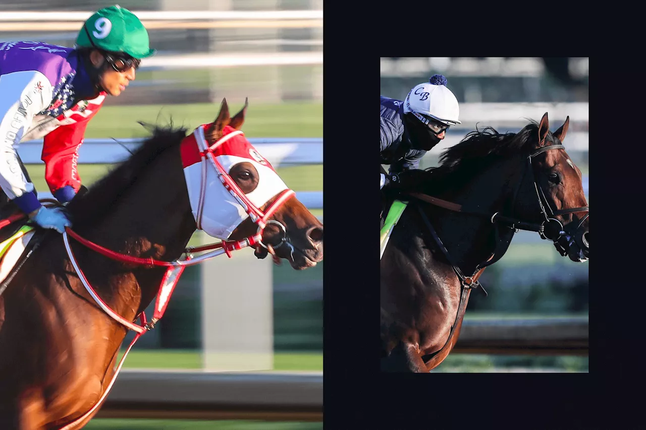 Kentucky Derby 2024 post positions, odds: Fierceness the favorite, Sierra Leone a top contender (updated)