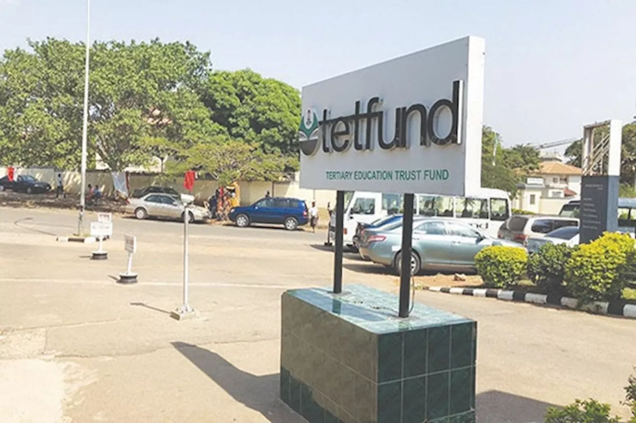 Arewa youth passes vote of confidence in Tetfund boss