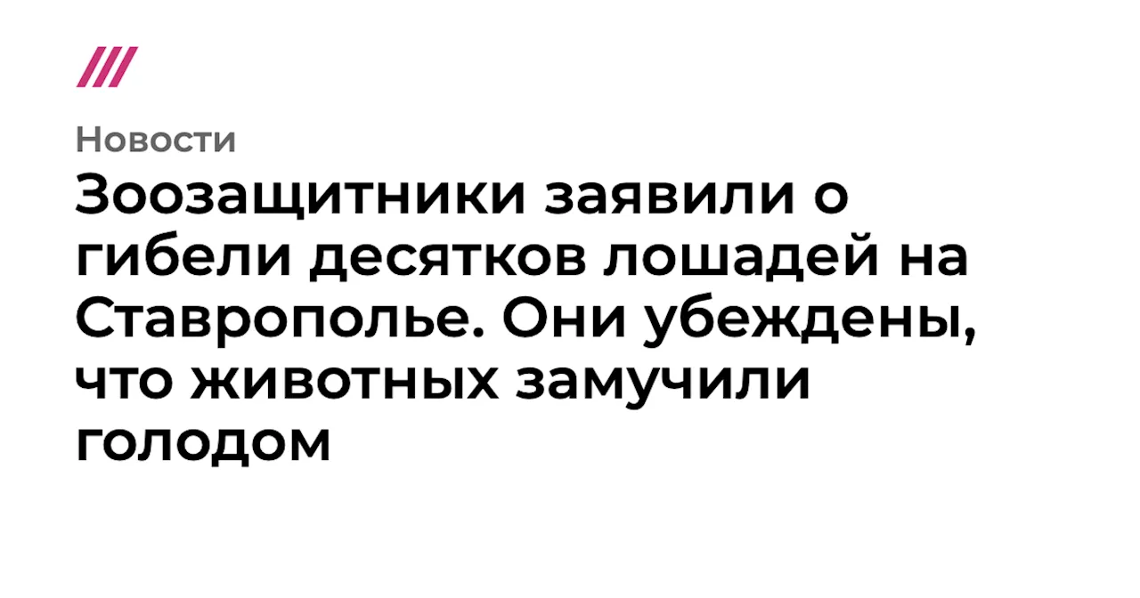 Зоозащитники заявили о гибели десятков лошадей на Ставрополье. Они убеждены, что животных замучили голодом