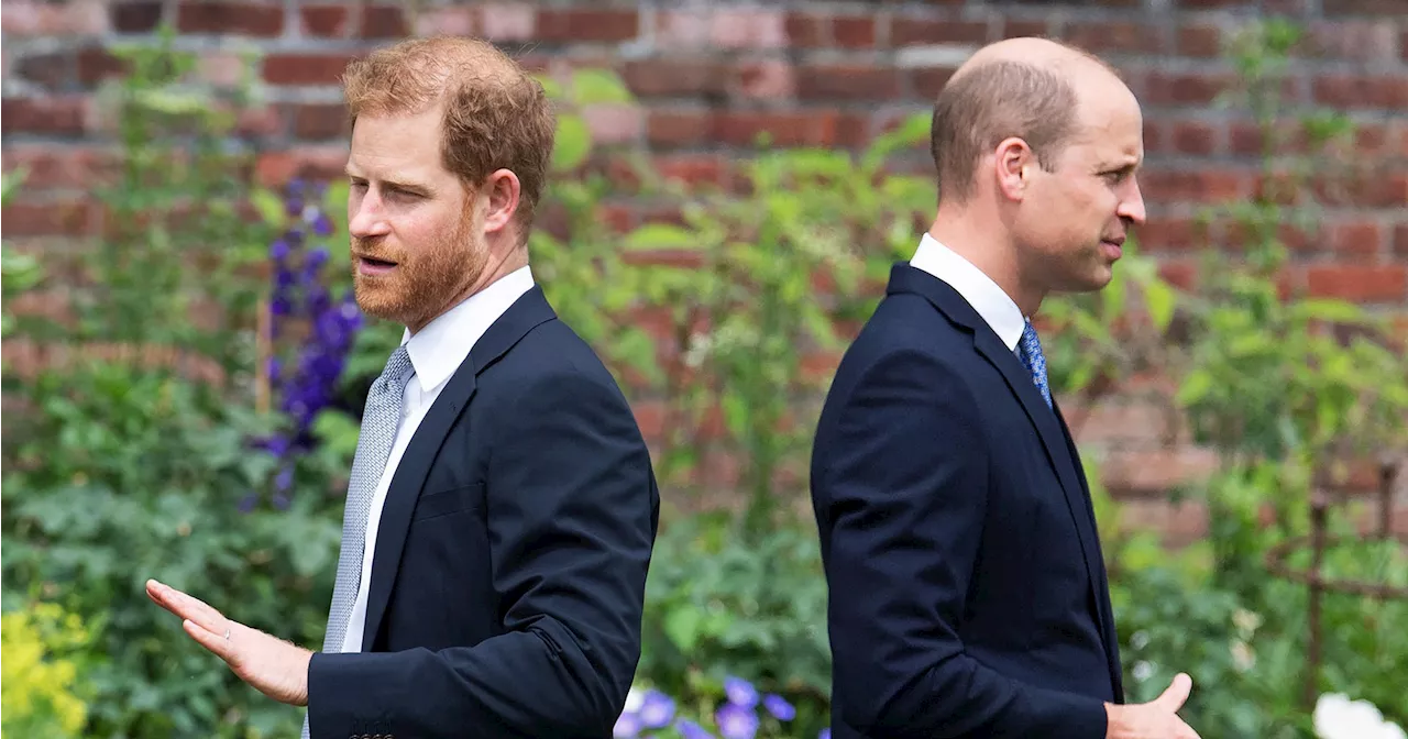 Prince Harry, Prince William Haven’t Had 'Real Conversation in Months’