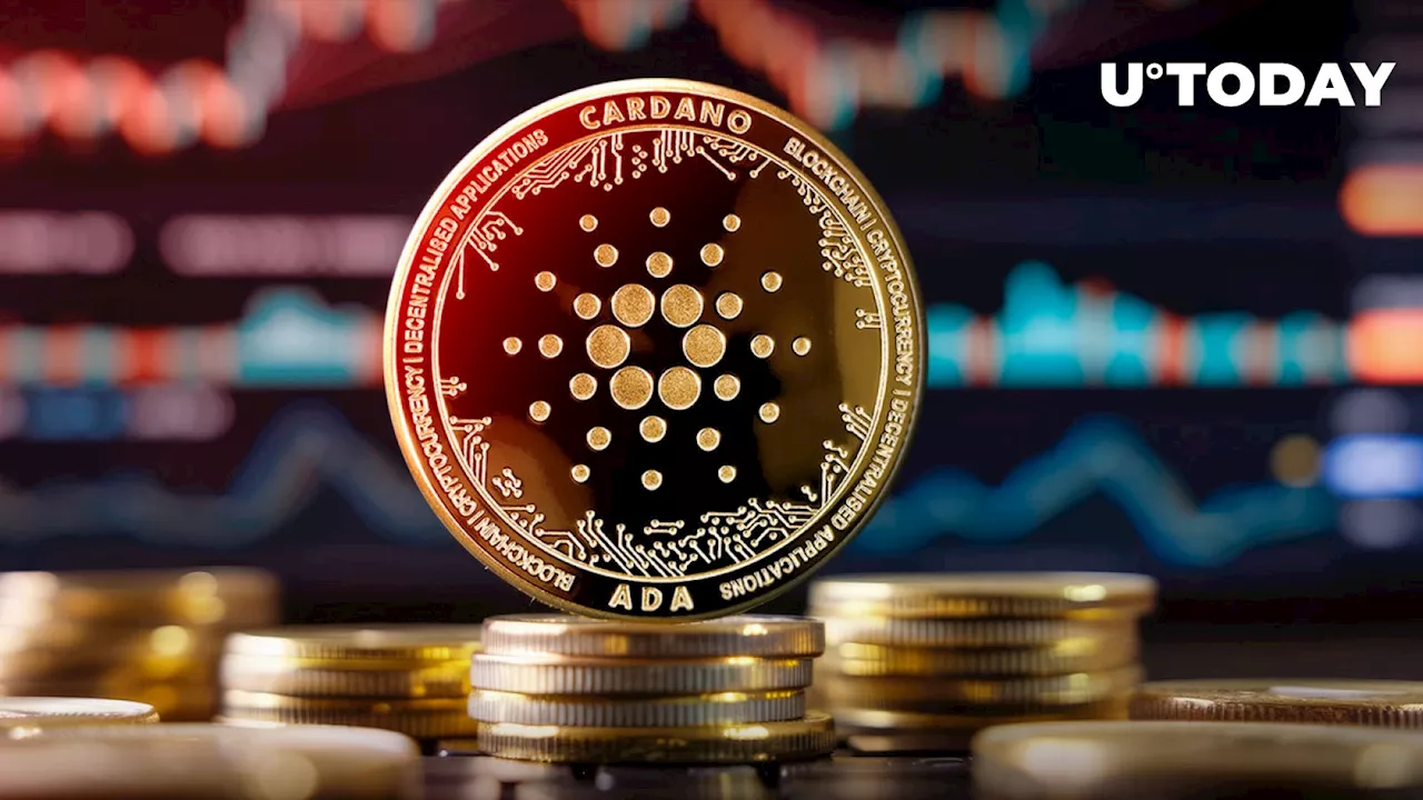 Cardano: 2.5 Billion ADA Face Critical Test at Key Level