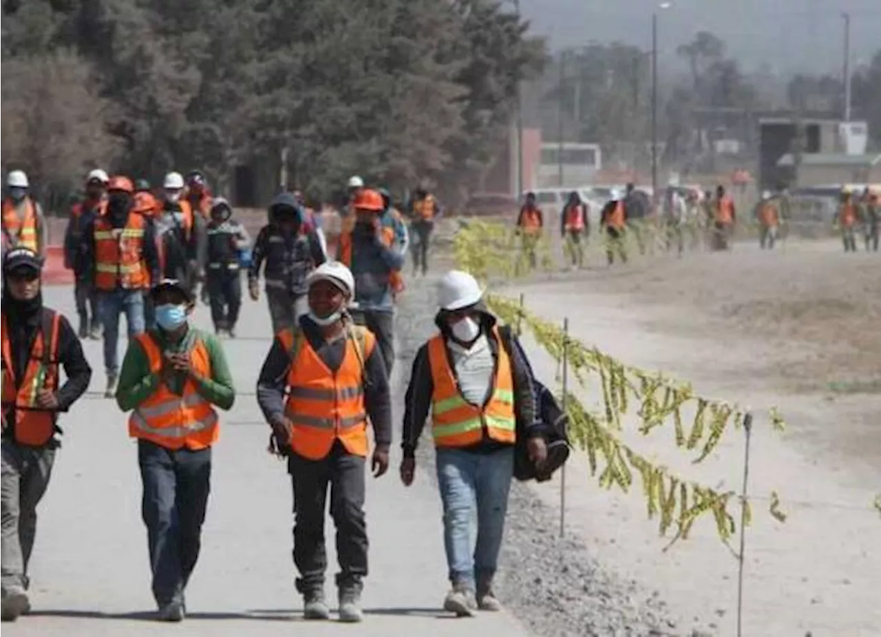 El 27% de los empleados en México trabajan más horas: OCDE