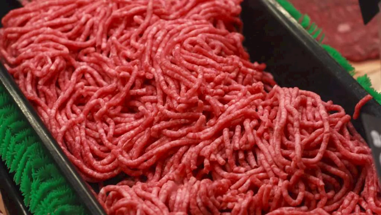 The USDA is testing ground beef for bird flu. Experts are confident the meat supply is safe