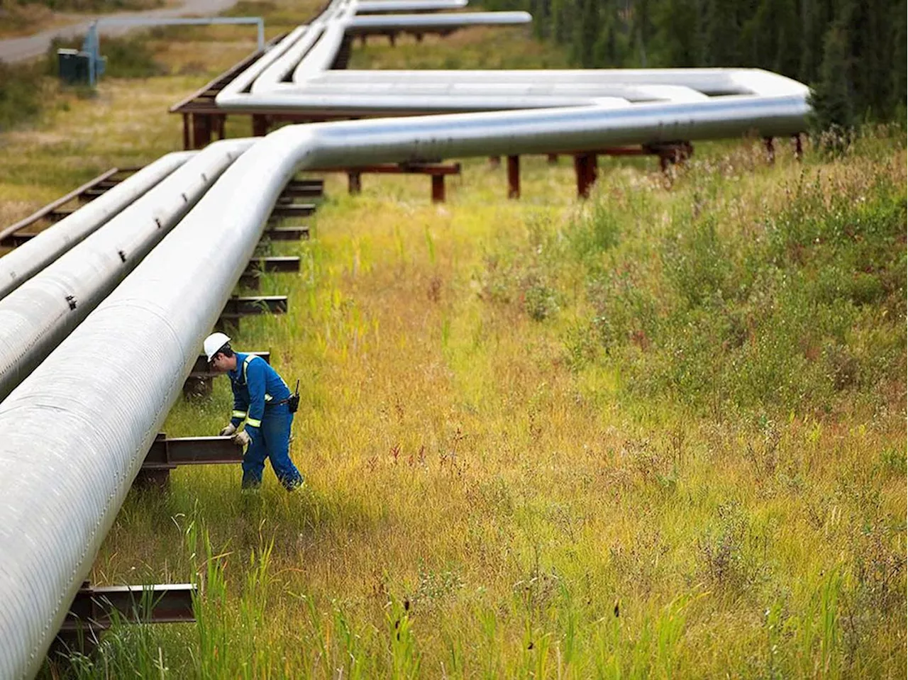 Trans Mountain opens 'pretty vast market,' says Cenovus — but it's likely Canada's last pipeline