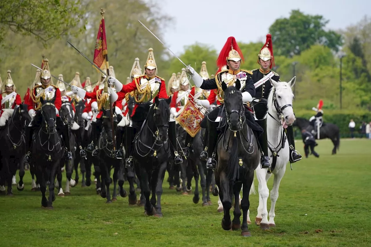 Predictably animal rights activists have jumped on the bandwagon after Household Cavalry horses bolted