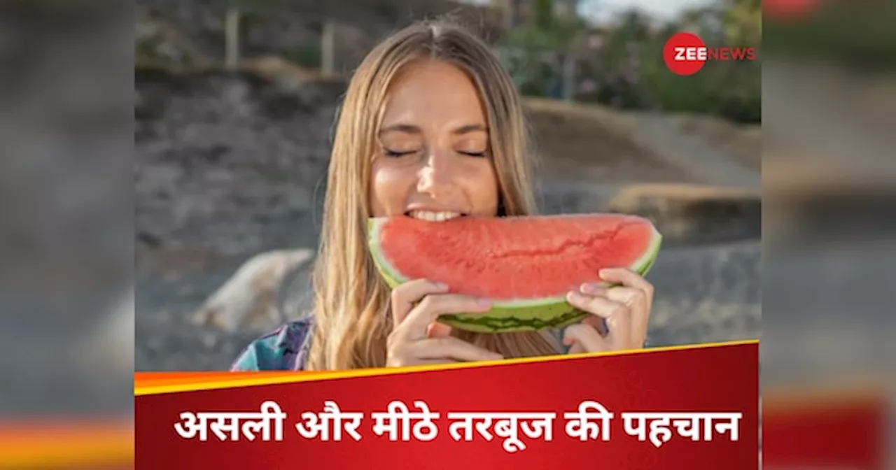 Watermelon: गर्मी में खाना है ए वन क्वालिटी का तरबूज? सिंपल है तरीका खरीदते समय बस ये 5 चीज चेक कर लें