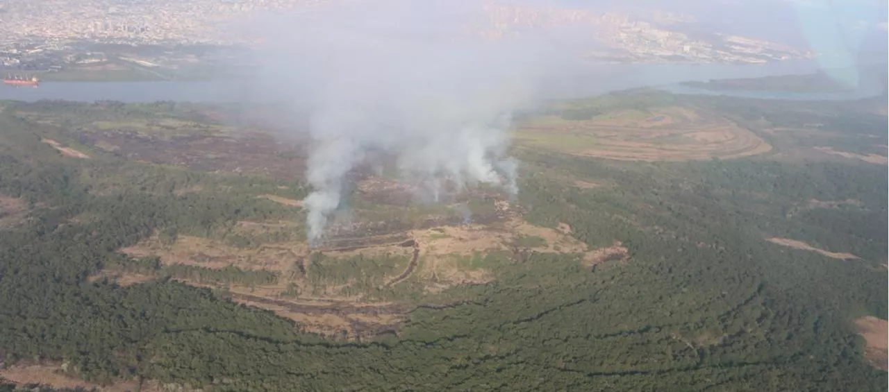 Fuerza Aérea apoya extinción del incendio en Isla Salamanca