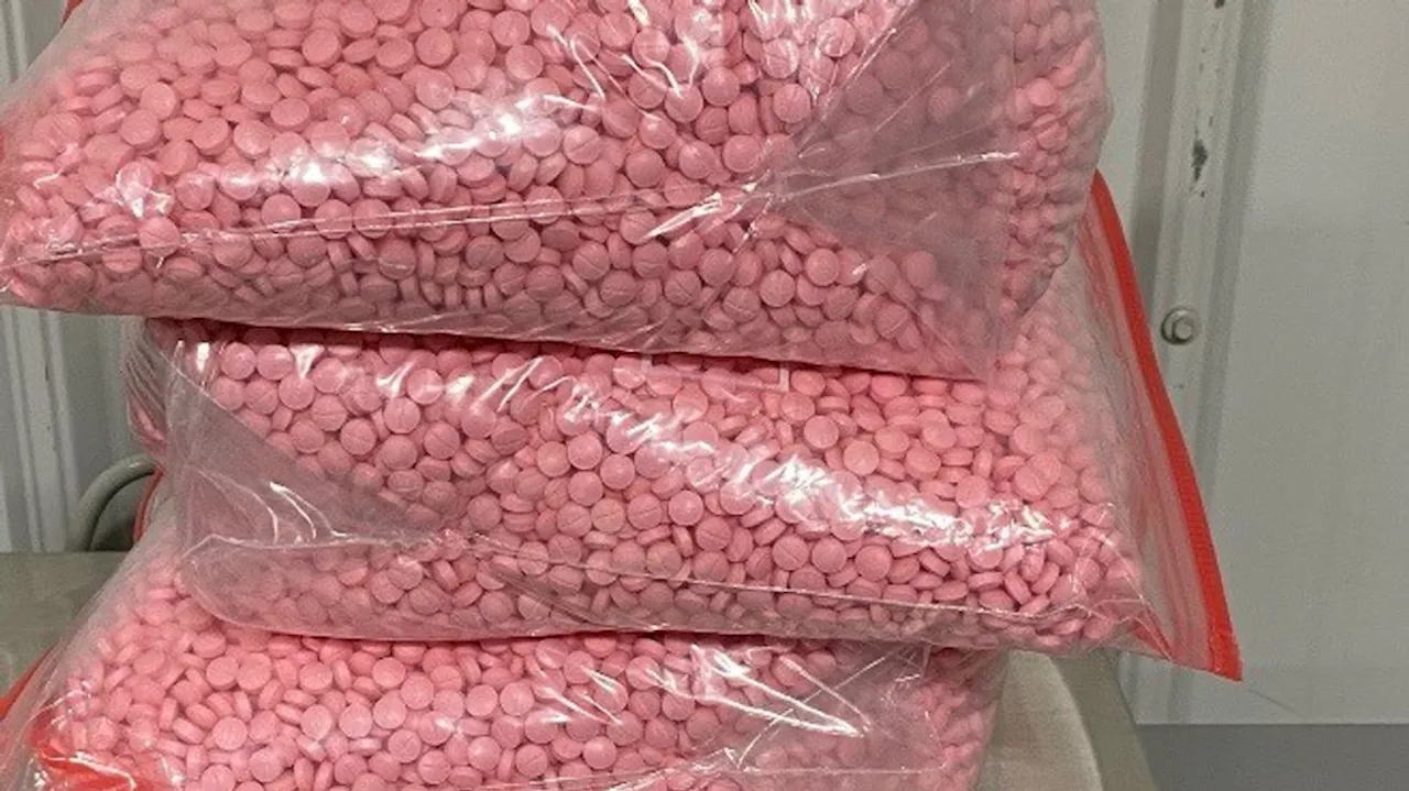 Homeowner mistakenly receives $2M worth of fentanyl pills through the mail, police say