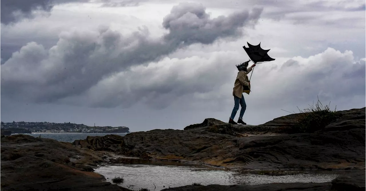 Heavy rain, flash flood warning across NSW this weekend