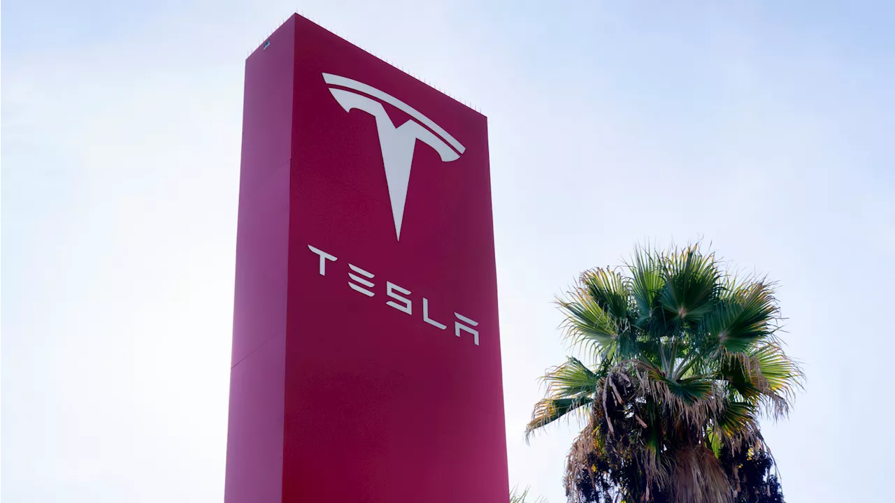 Police prevent environmental activists from storming Tesla factory in Germany