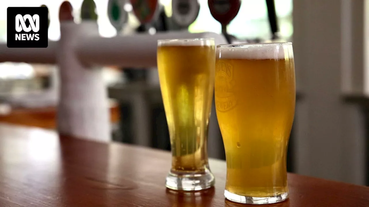 Liquor licence lost after Liquor & Gaming NSW finds man served 22 schooners at Stockton pub