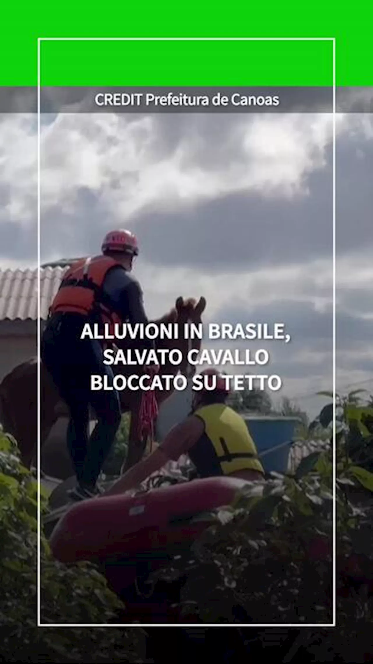 Alluvioni nel sud del Brasile, cavallo bloccato sopra un tetto