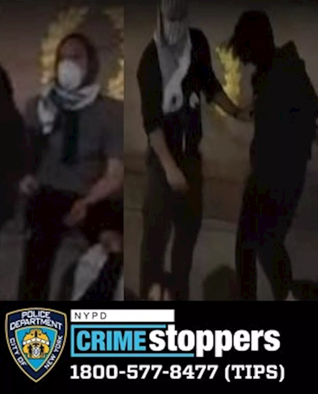 NYPD arrests teen suspected of vandalizing Central Park war memorial as part of anti-Israel protest |