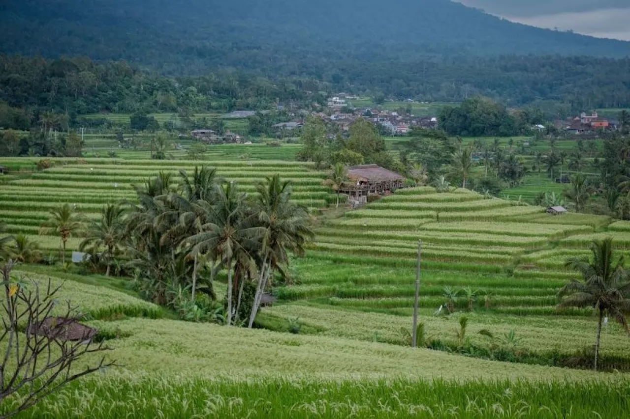 Delegasi asing akan nikmati budaya Indonesia di World Water Forum Bali