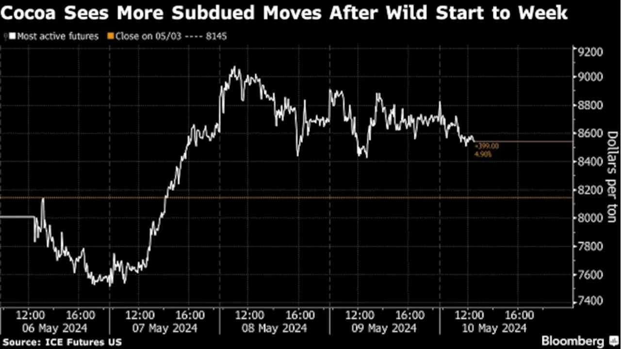 Cocoa Eases as Rabobank Says Historic Rally Has Probably Peaked