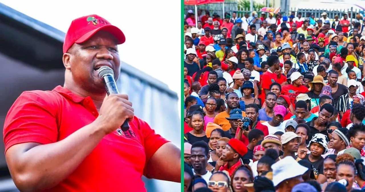 EFF Remains Confident Despite Challenges Ahead of Elections in KwaZulu-Natal