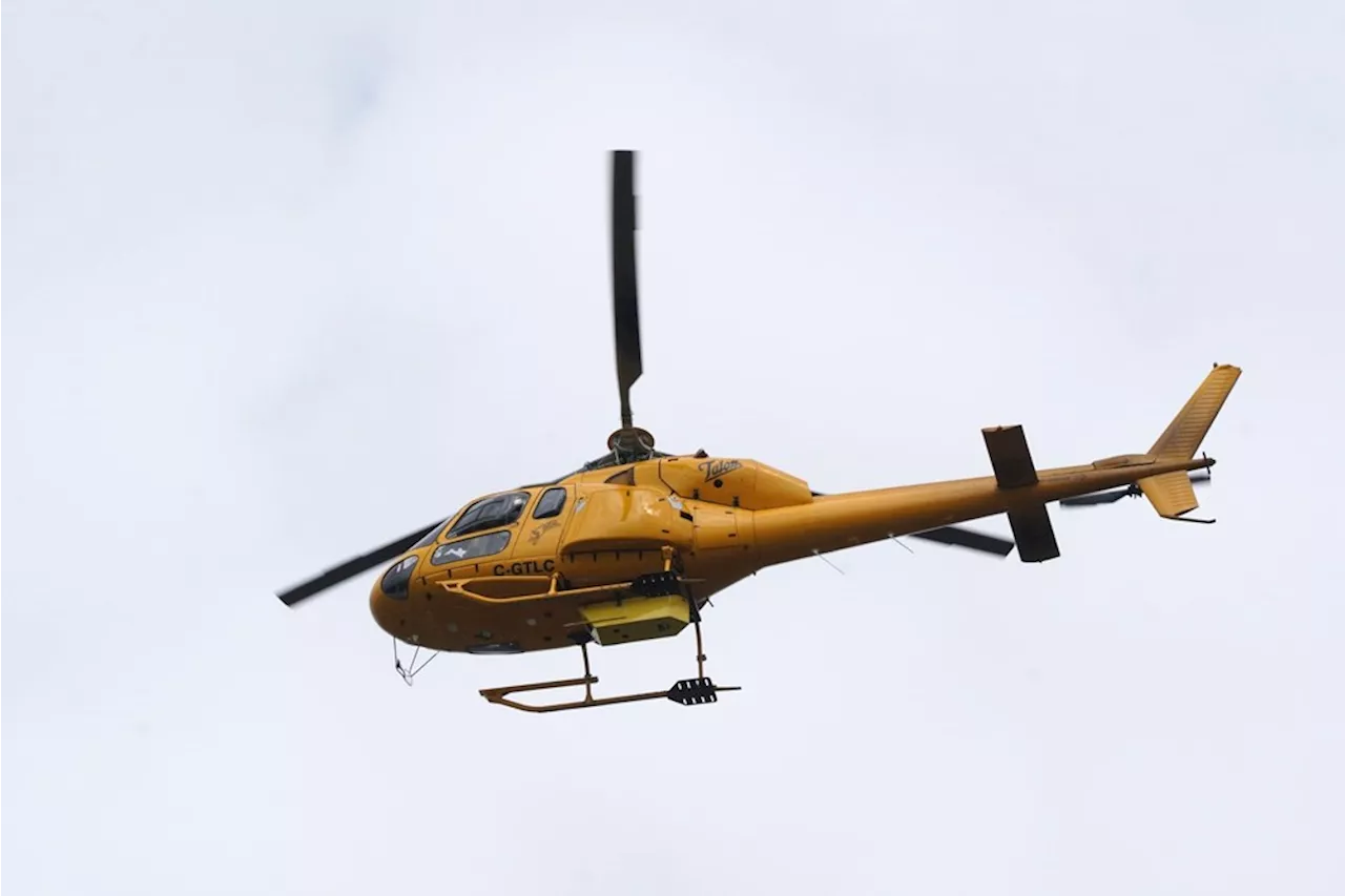 Here’s why yellow helicopters are buzzing over Metro Vancouver