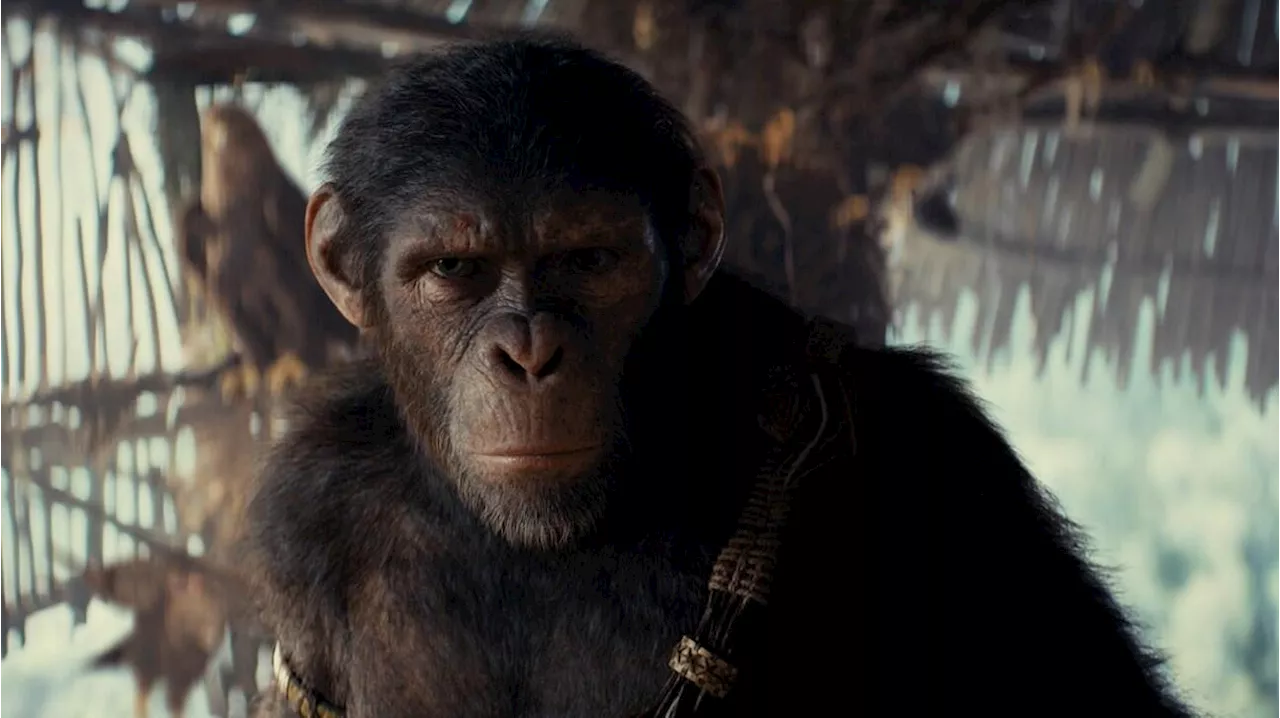 Kingdom of the Planet of the Apes Ending Explained