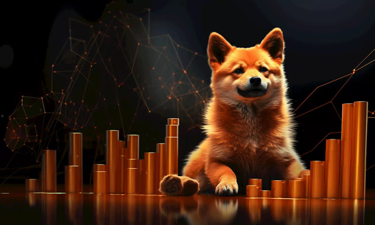 How High Can Shiba Inu (SHIB) Go in 2024?