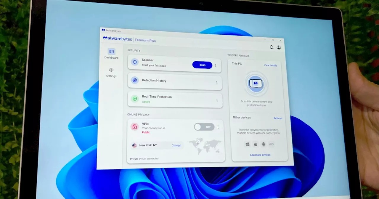 Malwarebytes for Windows review: a quick and easy antivirus upgrade