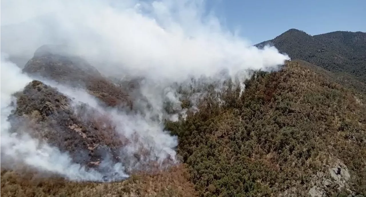 Reportan 13 incendios forestales en la Sierra Tarahumara de Chihuahua