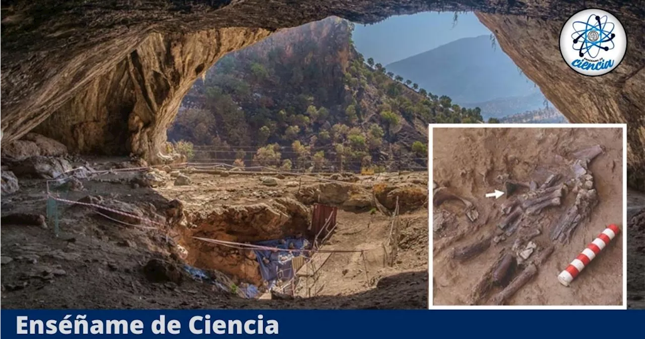 Estudiaban una vieja cueva y terminaron descubriendo lo que los neandertales hacían con sus difuntos