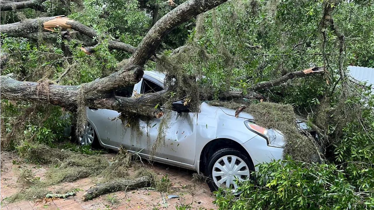 Damage reports on First Coast county-by-county, 73 mph winds recorded in Jacksonville