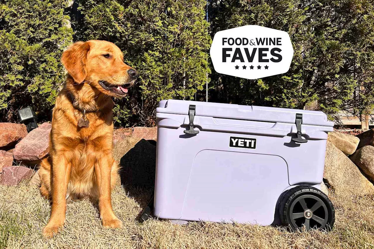 The 8 Best Coolers With Wheels For 2024 According To Our Tests   The 8 Best Coolers With Wheels For 2024 According  The 8 Best Coolers With Wheels For 2024 According  A3BADDC4EAB0199B0C8A9AB6AC586389.webp