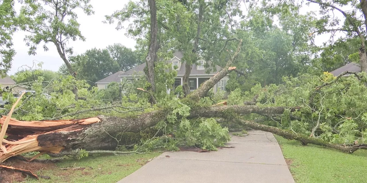 Friday morning storms pack a punch in Baldwin County