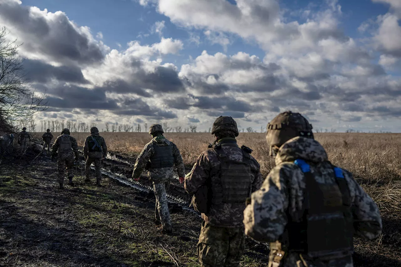 Раскрыто число украинских военных, сдавшихся в плен за неделю