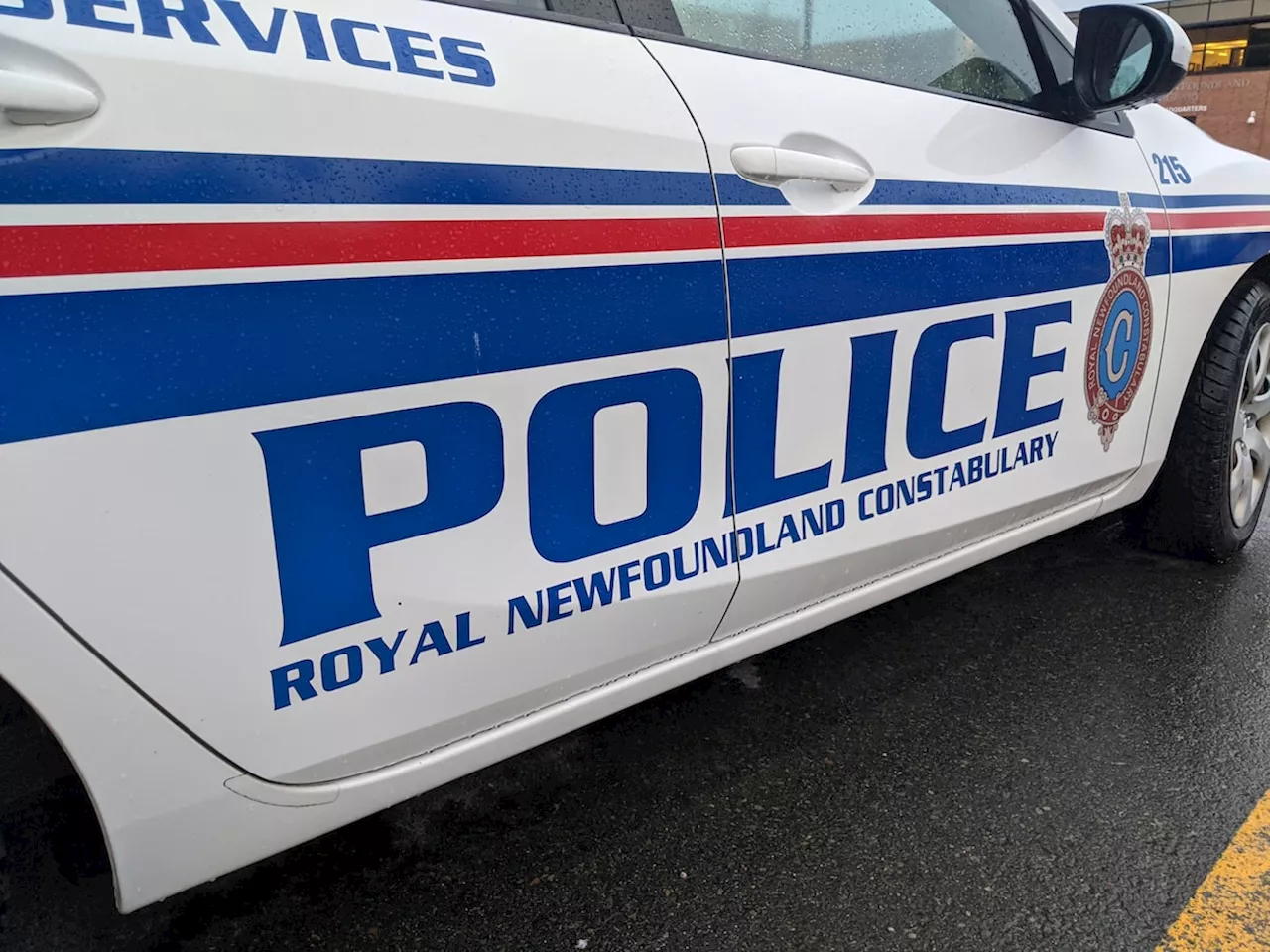 Man assaulted Newfoundland officer with block of cheese, police say