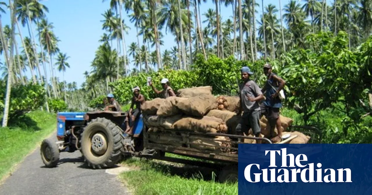 How the humble coconut is starting to fuel parts of Papua New Guinea