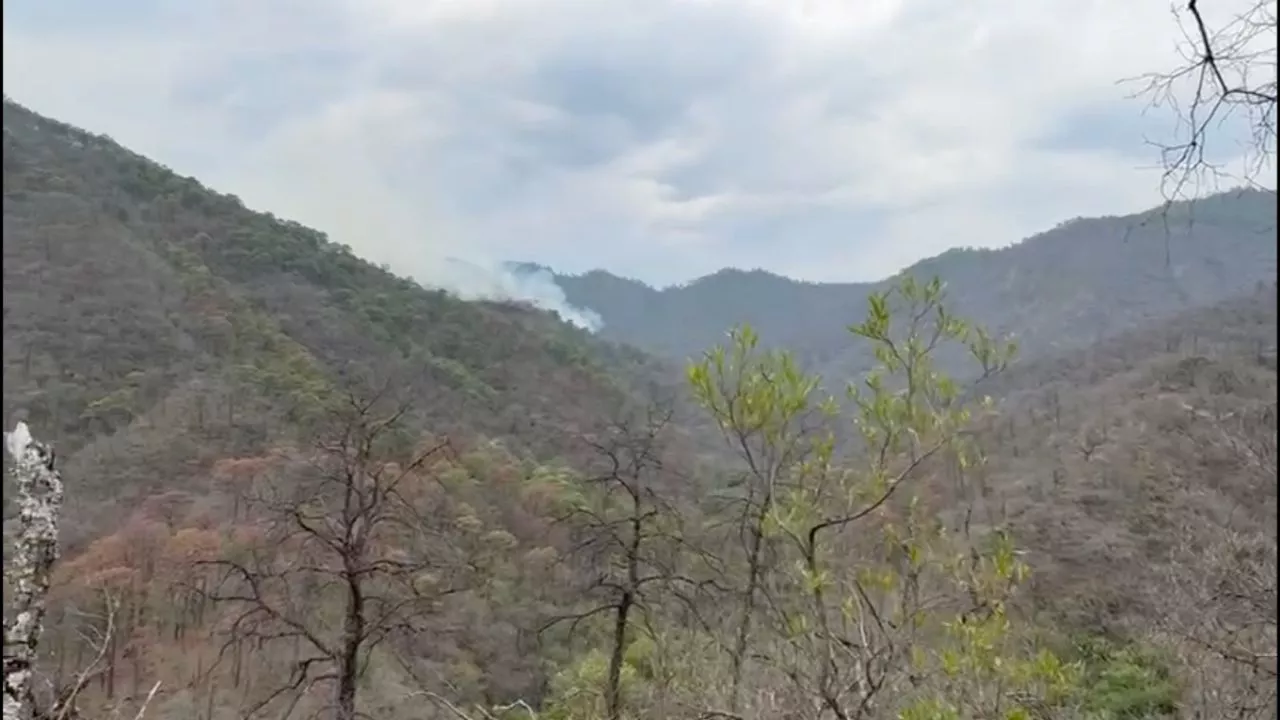 Ciudad Victoria continúa cubierta de humo por incendio forestal, piden aeronaves para liquidar fuego