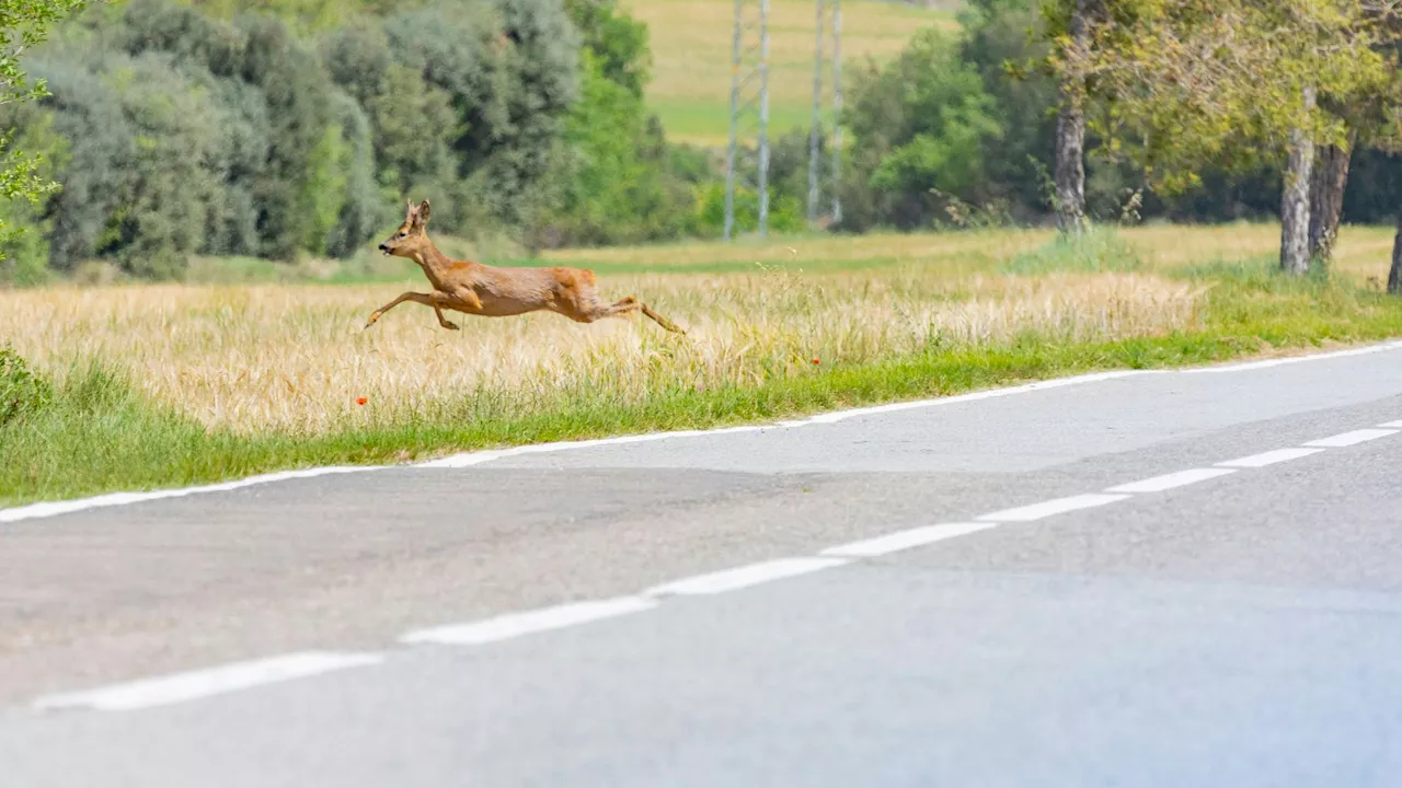 – diese Gefahr lauert nun auf den Straßen