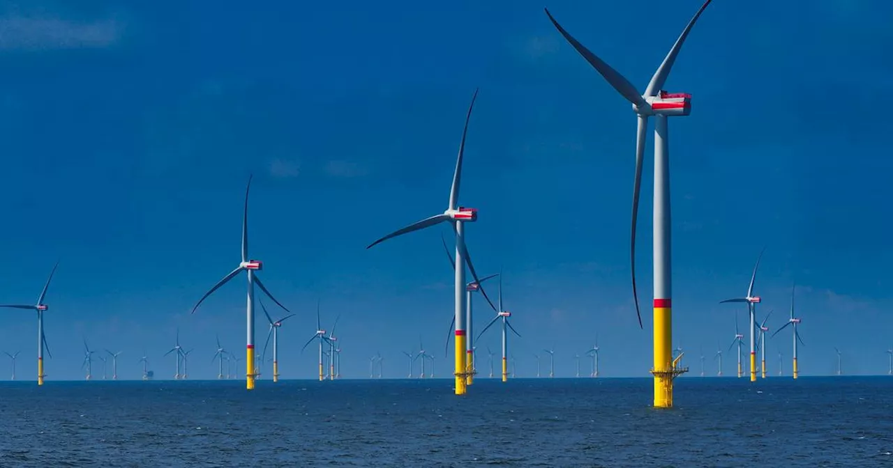 ‘Every country in Europe right now with a coastline and deep water is going after floating offshore wind.’ Except Ireland