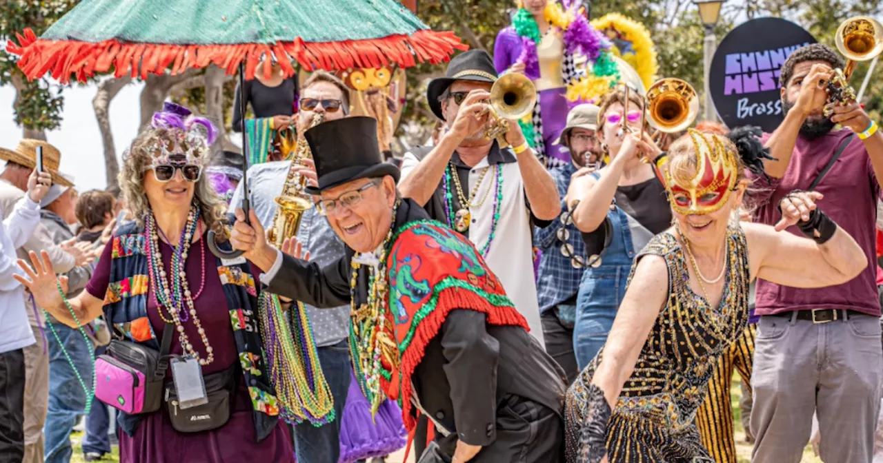 Gator by the Bay Zydeco, Blues & Crawfish Festival 2024