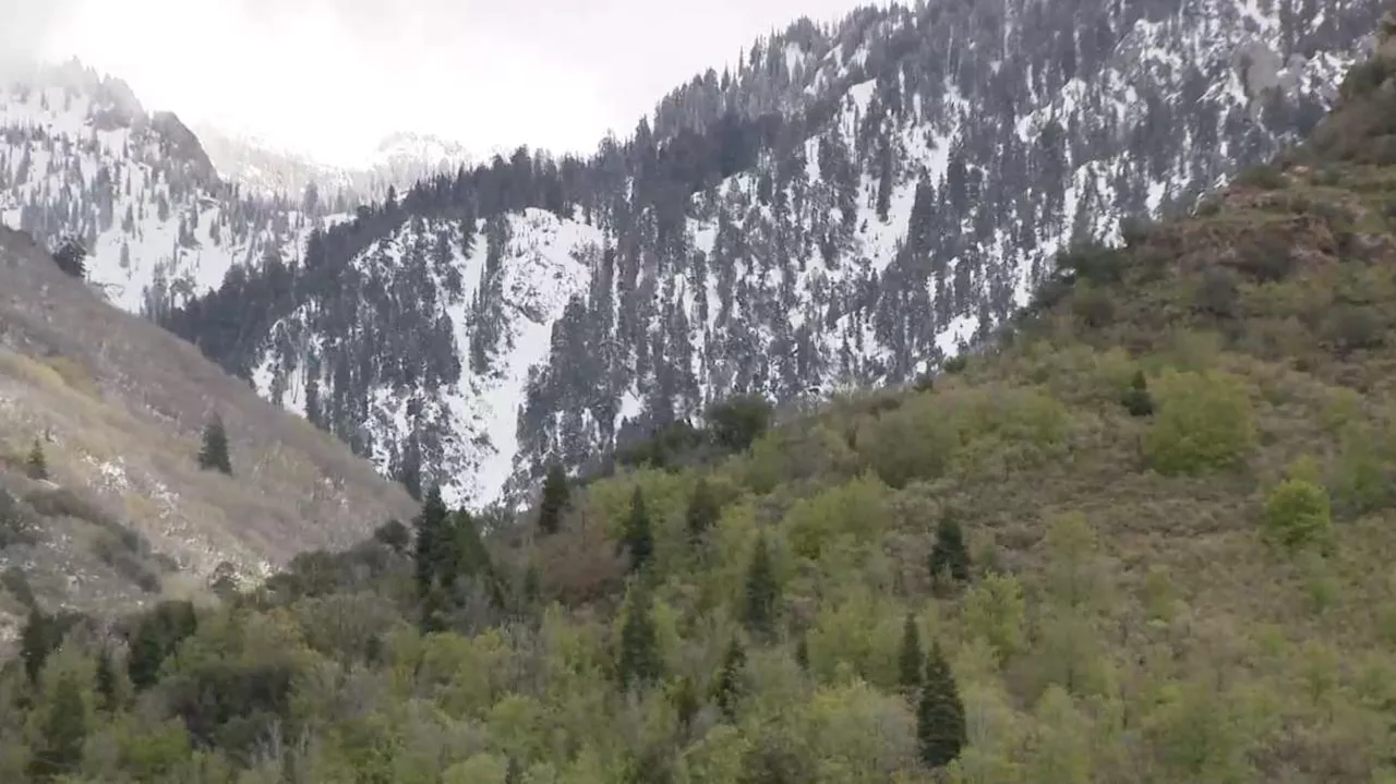 Bodies of 2 skiers killed in avalanche recovered from mountain