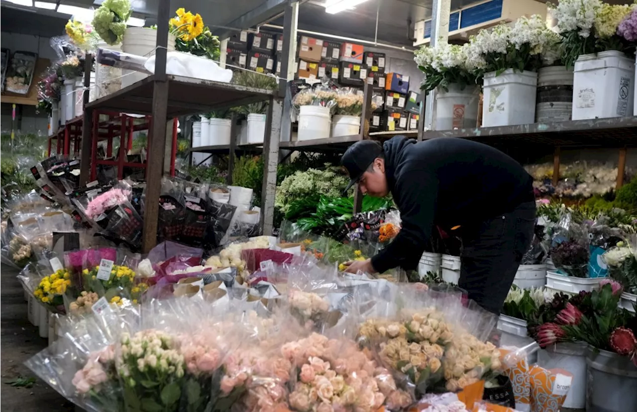 SoCal Flower and Supply in Van Nuys has 20,000 flowers for Mother’s Day