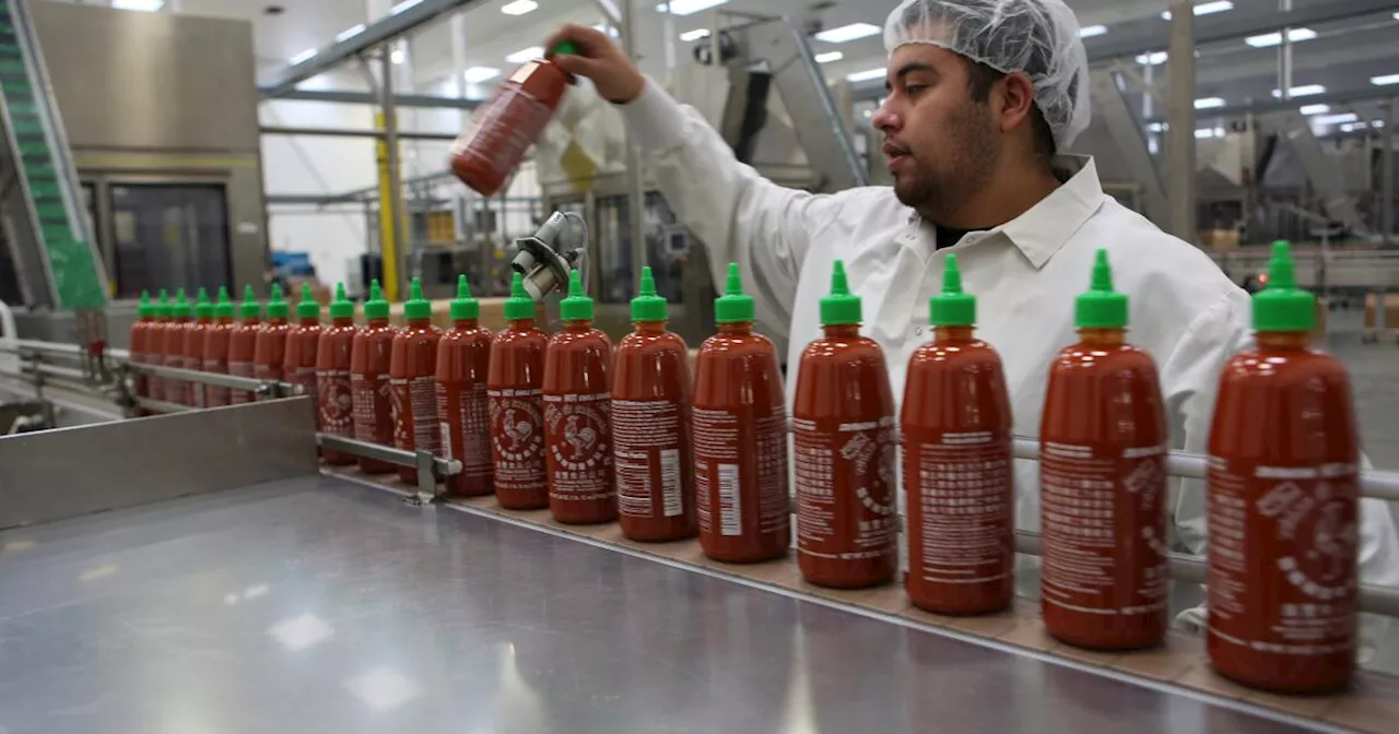 Why did Huy Fong, the beloved Sriracha brand, halt production again?