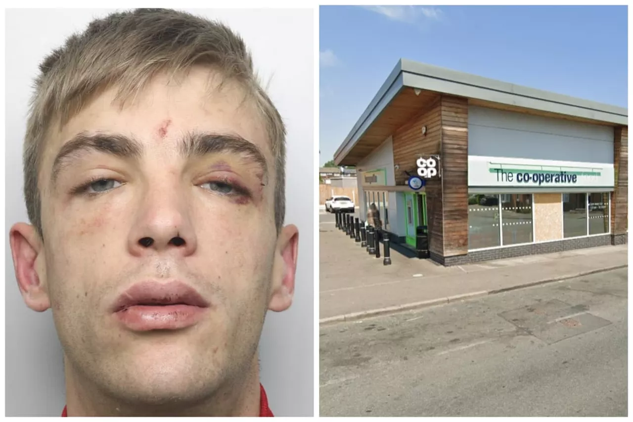 Knife-wielding Leeds shoplifter attacked police officer and said: 'I commit f****** crimes every day'