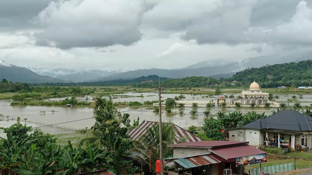 Banjir Konawe Utara Putuskan Jalan Trans Sulawesi, Bikin Satu Desa Gagal Panen